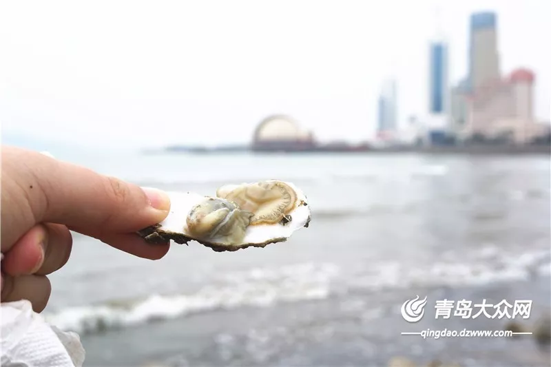 点开微信“清粉”软件 却被拉入广告群 警方破获非法获取信息案|火狐电竞平台(图1) 火狐电竞