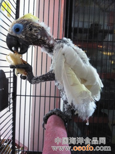 火狐电竞平台-英国将启动3.5亿英镑重工业减排计划 预期到2050年实现净零排放(图2) 火狐电竞