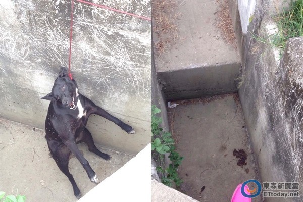 火狐电竞_女子卷入轿车车底 数十名外卖小哥11秒将车抬走救人(图1) 火狐电竞