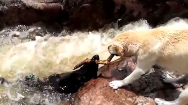 ‘火狐电竞平台’人民日报海外版:解决拖欠中小企业账款支付有了制度保障(图4) 火狐电竞官网